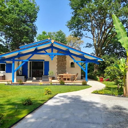 La Clairiere Du Seignanx Bed & Breakfast Saint-Martin-de-Seignanx Eksteriør bilde