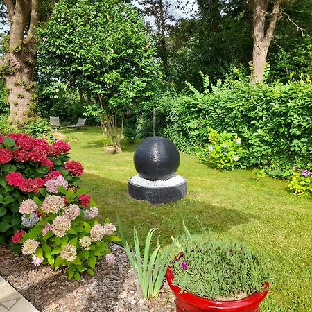 La Clairiere Du Seignanx Bed & Breakfast Saint-Martin-de-Seignanx Eksteriør bilde