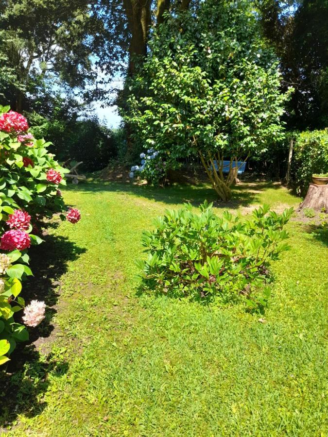 La Clairiere Du Seignanx Bed & Breakfast Saint-Martin-de-Seignanx Eksteriør bilde