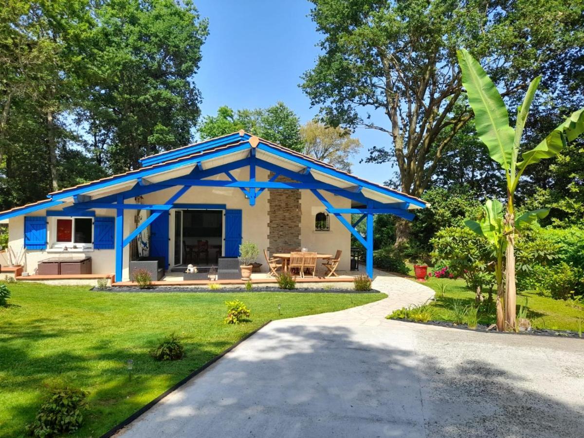 La Clairiere Du Seignanx Bed & Breakfast Saint-Martin-de-Seignanx Eksteriør bilde