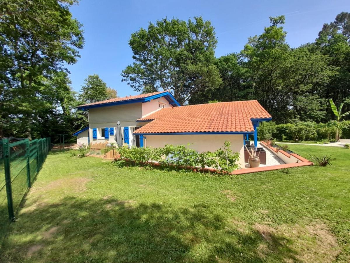 La Clairiere Du Seignanx Bed & Breakfast Saint-Martin-de-Seignanx Eksteriør bilde