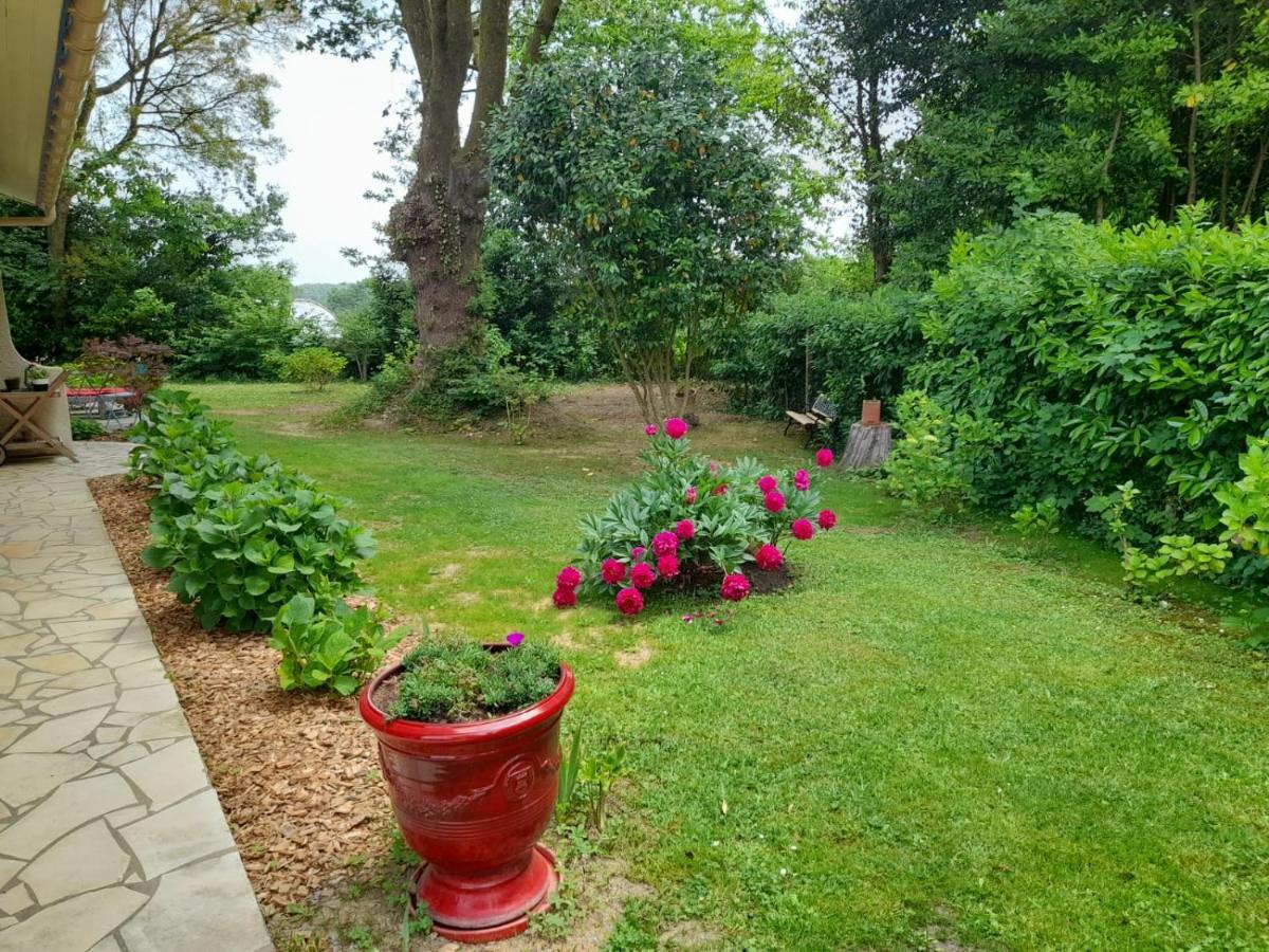 La Clairiere Du Seignanx Bed & Breakfast Saint-Martin-de-Seignanx Eksteriør bilde