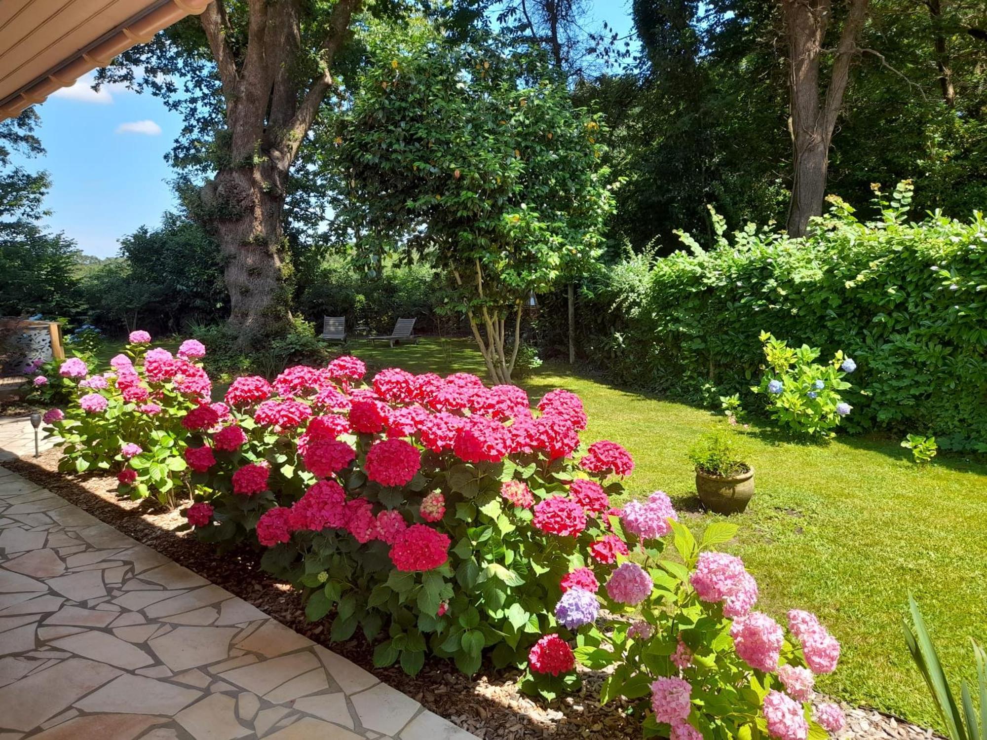 La Clairiere Du Seignanx Bed & Breakfast Saint-Martin-de-Seignanx Eksteriør bilde