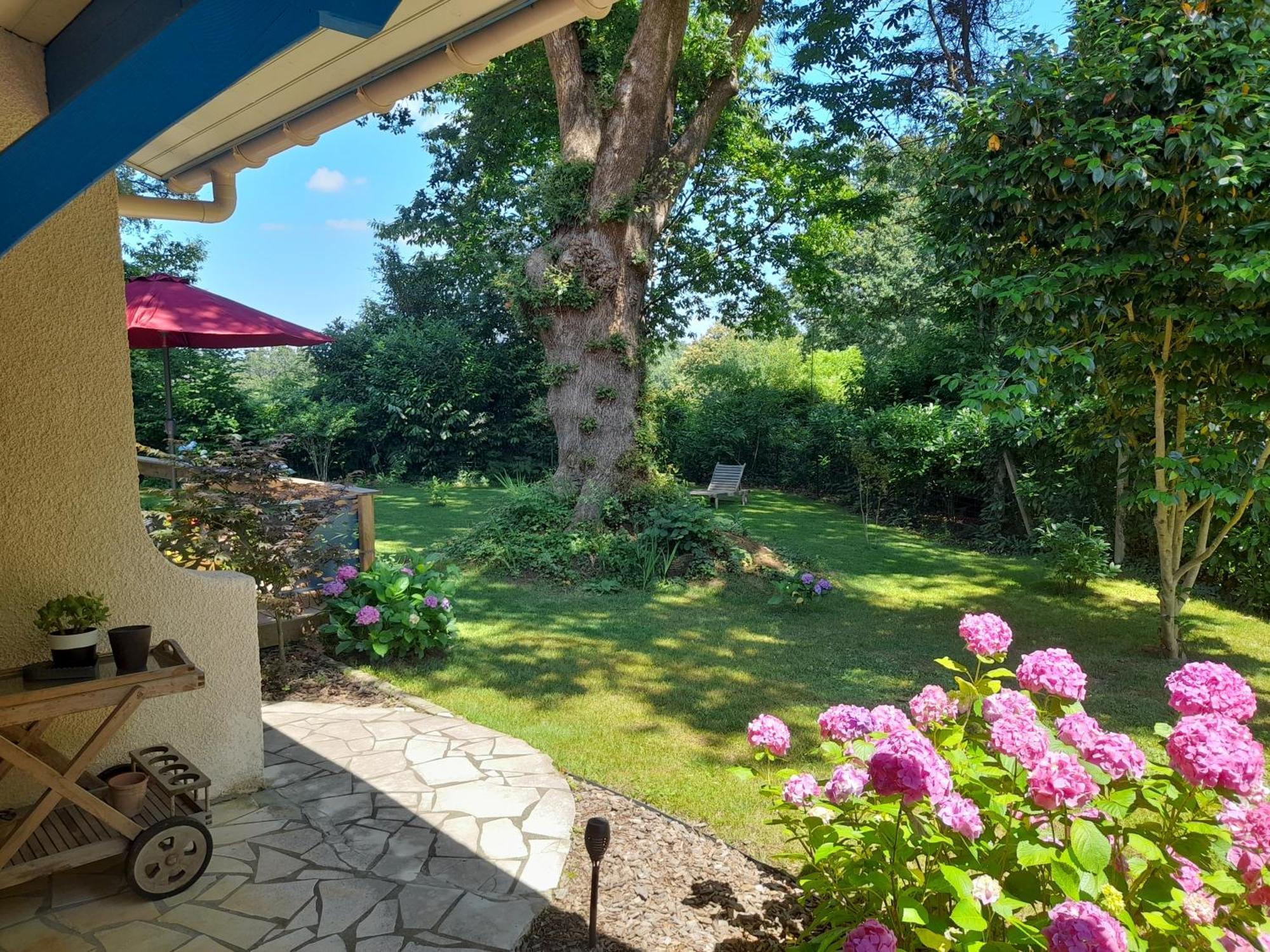 La Clairiere Du Seignanx Bed & Breakfast Saint-Martin-de-Seignanx Eksteriør bilde
